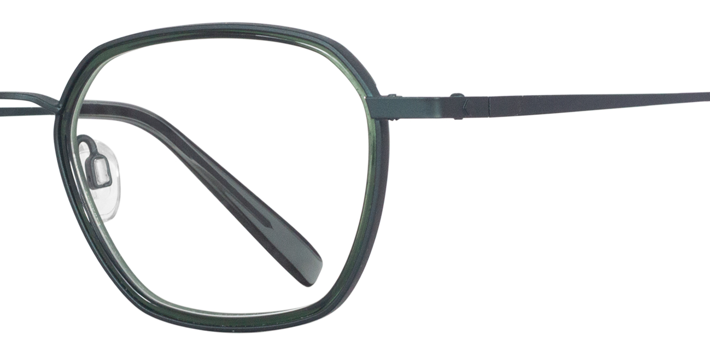 E001 zoom