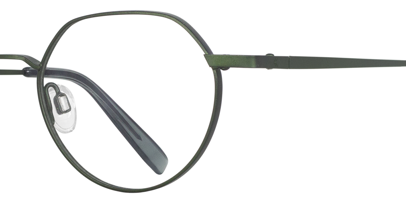 E009 zoom