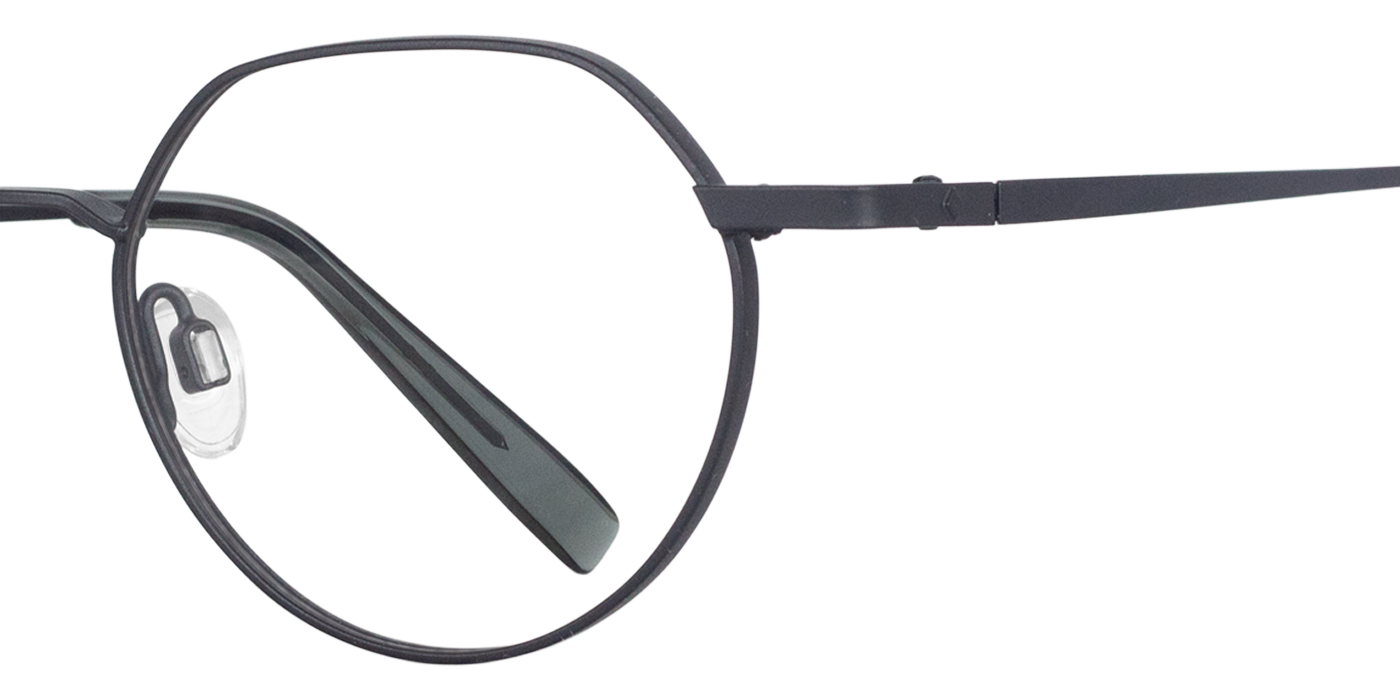 E009 zoom