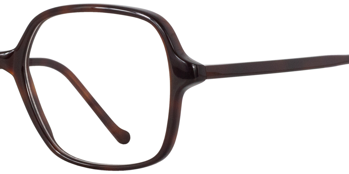ORPHEE zoom