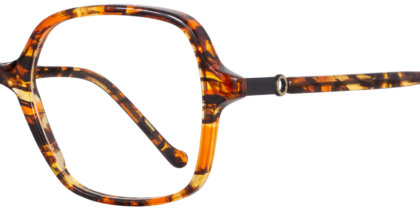 ORPHEE zoom