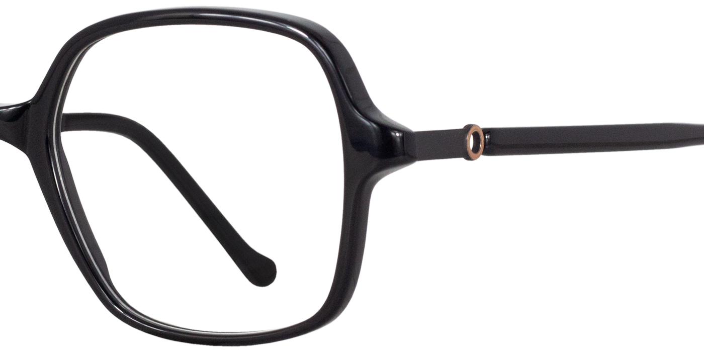 ORPHEE zoom